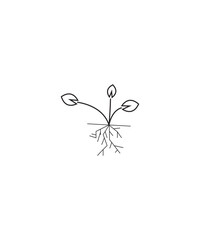 plant with roots icon, vector best line icon.