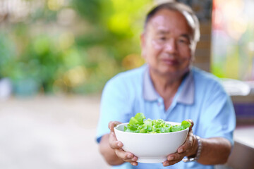 An elderly man holding a white bowl with lettuce. Healthy food concept.