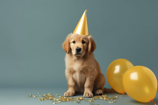 Funny golden retriever dog in birthday cap, Generative AI