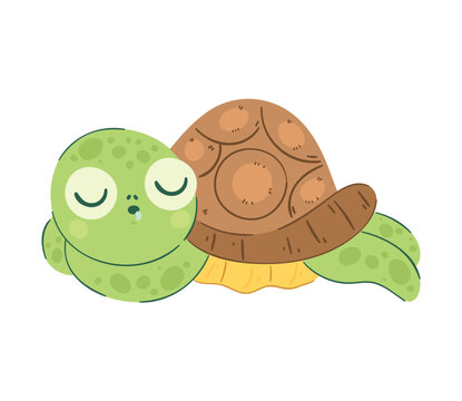 Sleepy turtle design © Gstudio