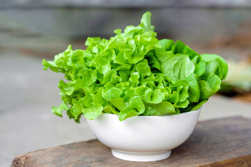 Vegetables or lettuce or green oak in a white bowl on a wooden background. Healthy food concept.