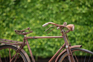 Old decay bicycle on green vine climbing garden wall outdoor. Rust Classic bike old bicycle on green garden wall retro style. Vine plant green leaves partition background.