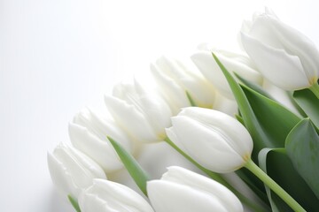 White tulip background. Generative AI.