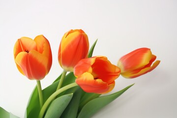 Fototapeta premium Orange tulip background. Generative AI.