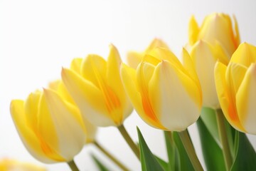 Fototapeta premium Yellow tulip background. Generative AI.