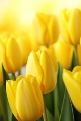 Naklejka premium Yellow tulip background. Generative AI.