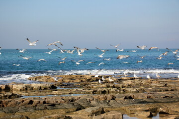 Coast of the Mediterranean Sea in northern Israel.