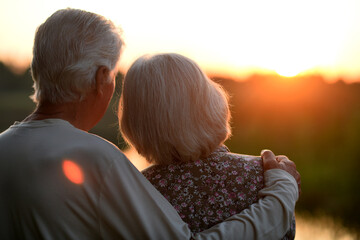 Elderly couple looks at the sunset. Rear view