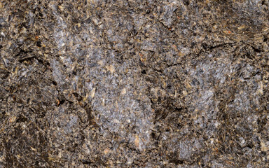 crushed sunflower seeds isolated on white background