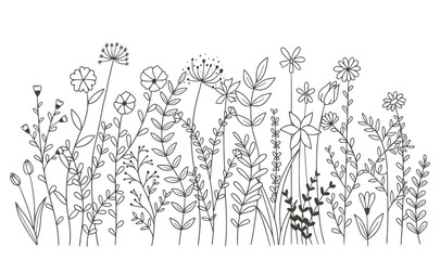 Beautiful flowers isolated on white background. vector illustration 