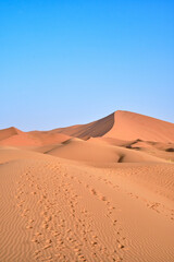 Fototapeta na wymiar Footsteps on the dunes of the Sahara desert, Morocco, on a clear blue sky day. Portrait shot.