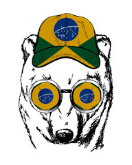 Brown bear's hand drawn portrait. Patriotic sublimation in colors of national flag on white background. Brazil