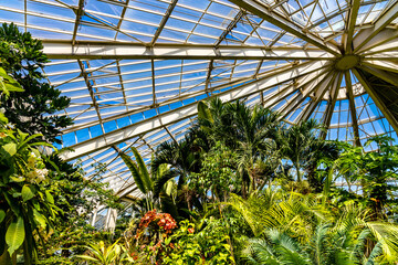Parc Phoenix Park botanic and zoology garden greenhouse and flora collection in Ouest Grand Arenas...