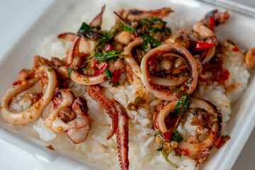 stir fried holy basil with octopus or squid and herb - Asian food style