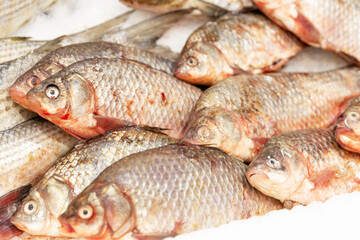 Fresh chilled carp on ice in the store. Fish and seafood. Close-up.