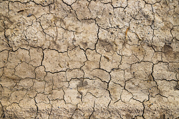 dry earth texture