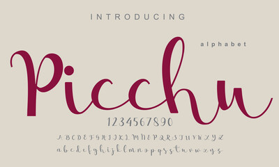 Picchu font. Elegant alphabet letters font and number. Classic Copper Lettering Minimal Fashion Designs. Typography fonts regular uppercase and lowercase. vector illustration