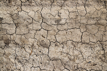 dry cracked earth