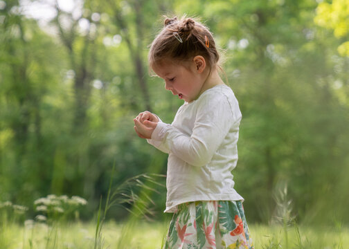 Cute little girl is playing and relaxing in the park. He holds something interesting in his hands and examines it very carefully. Sunny day, green tall grass