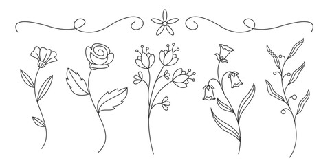 Set of beautiful flowers in outline