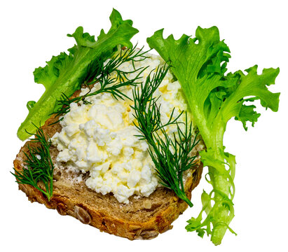 sandwich with soft cheese and herbs on organic bread on a neutral background