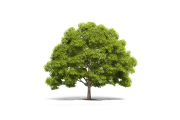 Green tree isolated on white background. Created with Generative AI Technology