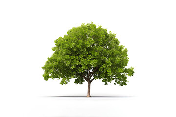Fototapeta na wymiar Green tree isolated on white background. Created with Generative AI Technology