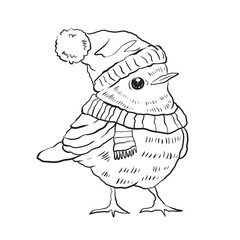 Sketch robin with santa hat, hand drawn robin vector