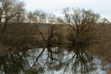 Reflection of trees in the mirror surface of the water of the lake of the city pond. Spring still life photo