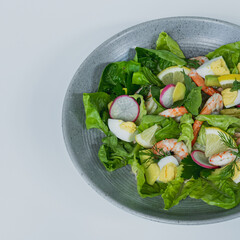 A plate of salad with shrimp, radishes, and egg.