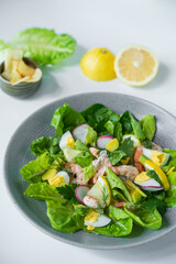 A plate of salad with shrimp, radishes, and egg.