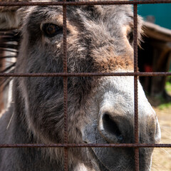 Fototapeta premium borgo medievale a colori