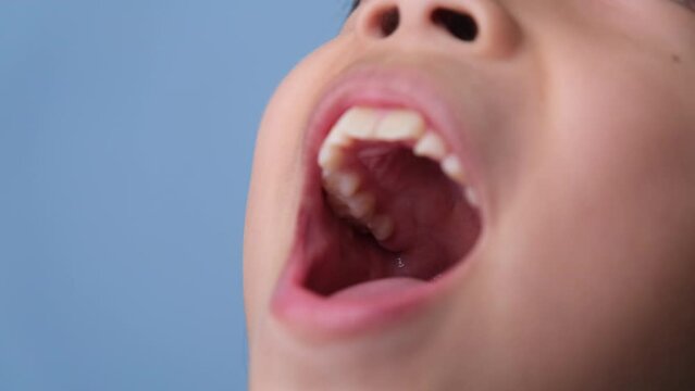 Close-up inside the oral cavity of a healthy child with beautiful rows of baby teeth. Young girl opens mouth revealing upper and lower teeth, hard palate, soft palate, dental and oral health checkup.