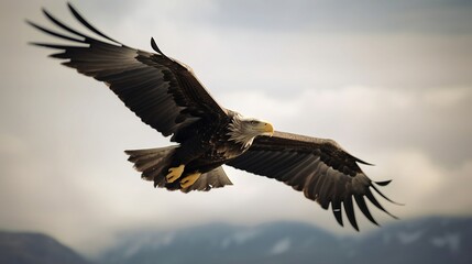 Fototapeta na wymiar An eagle flying in the sky in the morning. Created using generative AI.