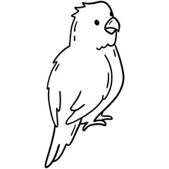 Lovebird parrot, tropical bird vector icon in linear doodle style png
