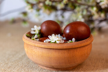 Easter still life with brown eggs in wooden bowl and white cherry blossom decoration