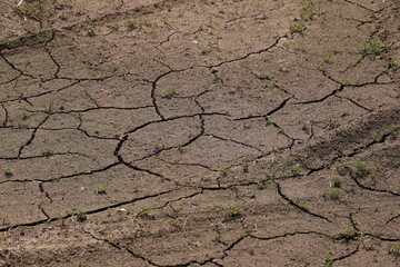 dry cracked soil