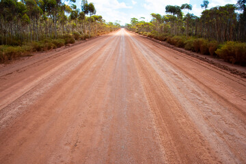 Fototapeta na wymiar Off Road Track in the Countryside