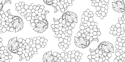 seamless background with grape doodle black and white