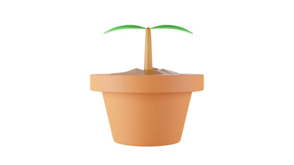 plant in a pot