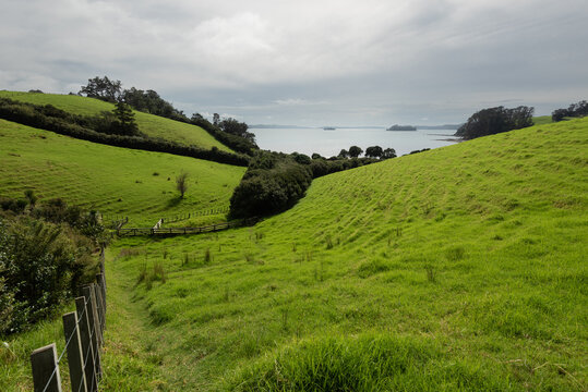 View across grassy farmland to Kawau Bay and the Mayne Islands. Scandrett Regional Park, Auckland, New Zealand.
