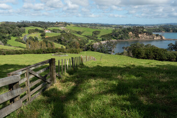 Fototapeta na wymiar View overlooking Scandrett Bay with a 5-bar gate, fence and grassy farmland in the foreground. Scandrett Regional Park, Auckland, New Zealand.
