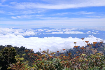 Costa Rica landscapes - beautiful nature - View from Irazu Volcano to the National park around