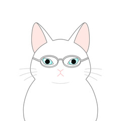 小さいメガネをかけた白色の猫