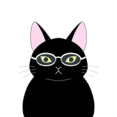 メガネをかけた黒色の猫