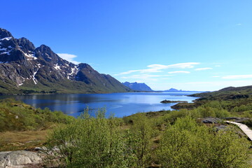 Fjord landscape from Austnesfjorden rest area on Sildpollen bay, Lofoten islands Austvagoya, Norway