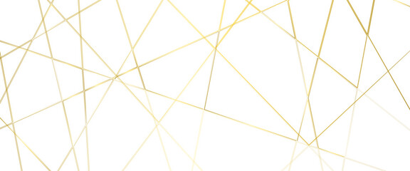Luxury banner presentation gold line background, abstract white gray colors with gold lines pattern texture business background.	
