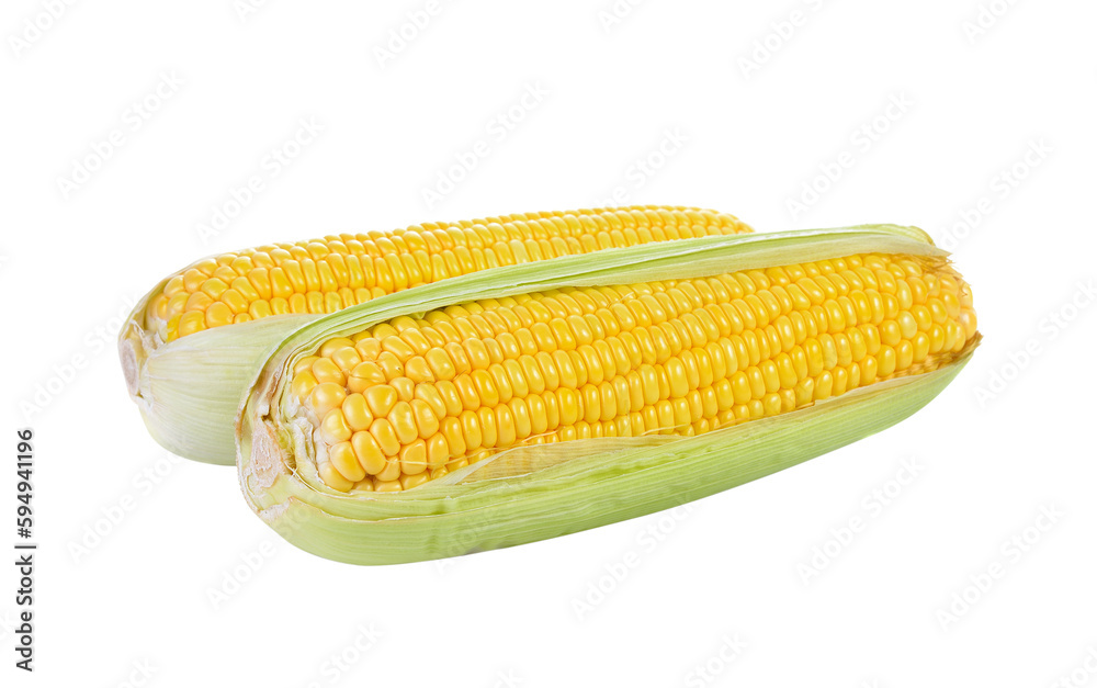 Wall mural sweet corn isolated on transparent png