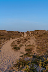 Andando al final del camino en una duna