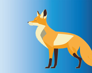 red fox, Cute cartoon fox. Funny red fox. Emotion little animal. Cartoon animal character design. Flat vector illustration isolated